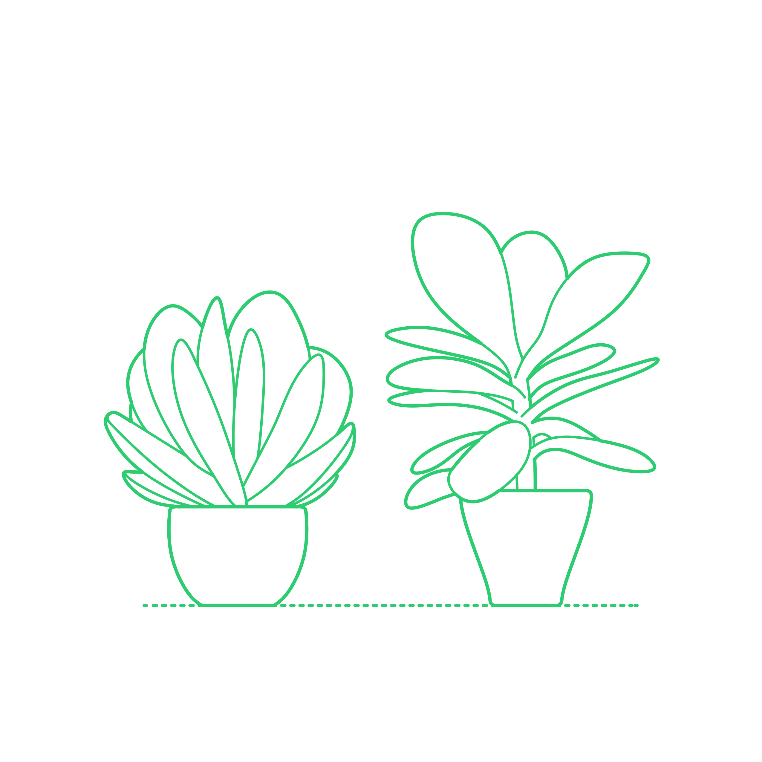 Plants Indoor Plants Paddle Plant Vinyl Svg File Free Vectors